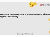 Помити кішку у ванній — це як провести обряд екзорцизму: нові жарти про братів наших менших