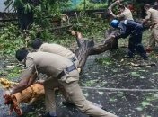 Новая напасть: на измученную от COVID-19 Индию обрушился смертельный циклон (видео)