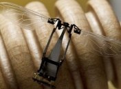 Для исследования Марса NASA выпустит роботизированных пчел