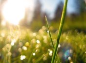 В Украине продолжает царить весеннее тепло