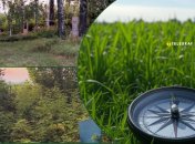 Бугайский треугольник известен как аномальная зона