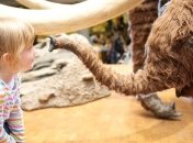 В Австрии проходит "Долгая музейная ночь"