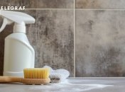 Плесень можно вывести несколькими способами (изображение создано с помощью ИИ)