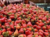 Экстракт клубники - лучший солнцезащитный крем