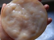 Исследователи космоса отправили чайный гриб на орбиту 