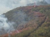 В Австралии снова могут возобновиться природные пожары