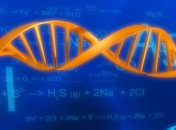 Обнаружен метод скоростного сворачивания ДНК-оригами