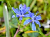 Матрена настовица: приметы и обряды 9 апреля