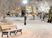 Прогноз погоды в Украине на 30 ноября: ожидаются дожди с мокрым снегом