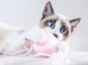 Пройдите тест и узнайте о себе больше