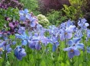 23 мая. Приметы дня