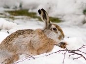 Що очікувати від погоди до кінця тижня