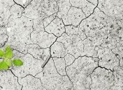 Ученые разработали классификацию климатических облигаций