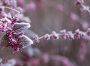 26 ноября - приметы и обряды в день Иоанна Златоуста