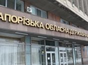 Глава Запорожского облсовета заболел коронавирусом