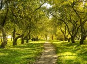 7 июня. Приметы дня