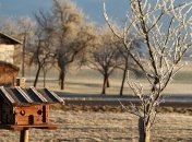 Народный праздник Гордеев день отмечается в народе 16 января