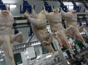 Украина попала в список мировых лидеров по экспорту мяса птицы в ЕС