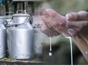 Молочні підприємства скорочують переробку: високі ціни на сировину та борги мереж вбивають галузь