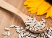 Польза и вред семечек подсолнуха