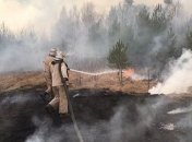 В Зоне отчуждения третий день тушат лесной пожар