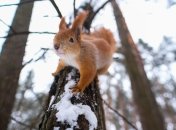 Які погодні сюрпризи чекають українців в останні дні місяця