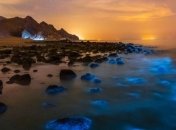 Картина, нарисованная природой: цветение фитопланктона в Ормузском проливе засняли из космоса