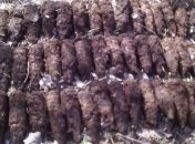 На Львовщине обнаружен склад боеприпасов времен Второй Мировой