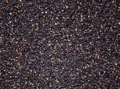 Польза и вред семечек