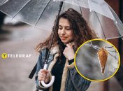 Погода в Украине в октябре