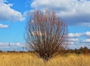 Холод, дождь и мокрый снег: на Украину снова надвигается зима