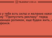 Этот прикол оценил даже слон: новая подборка утренних анекдотов