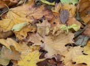 Какой праздник 18 ноября: народные приметы и запреты