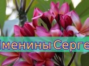Именины (День Ангела) Сергея: значение имени и поздравления