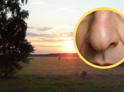 Село Ноздрище