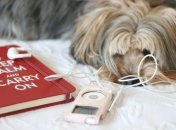 Определены самые проигрываемые песни в 2012 году