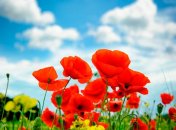 14 июля. Приметы дня