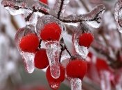 Лунный посевной календарь с 6 по 12 января 2020 года