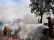 В России ситуация с лесными пожарами остается аномальной