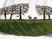 Резьба по листьям от испанского художника (Фото) 