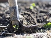 С наступлением осени дачный сезон не заканчивается: что нужно сделать до морозов