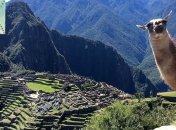 Україна домовилася про безвіз зі світовим лідером смертності від COVID-19