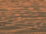 Брат с сестрой погибли из-за оползня в песчаном карьере