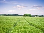 Прогноз погоды в Украине на 29 июня: будет тепло и солнечно