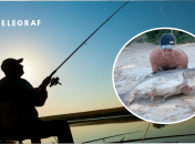 На Харьковщине мужчина поймал толстолобика на 27 кг