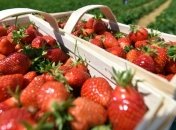 Ягодная диета - лучший способ похудеть летом