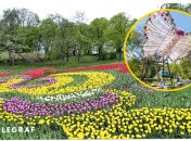 Певческое поле в Киеве