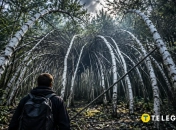 Аномальная зона или игра природы?
