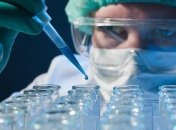 Ученые выяснили, каким будет человечество в будущем