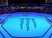 Источник: Губернатор Калифорнии "отменил" турнир по ММА UFC 249